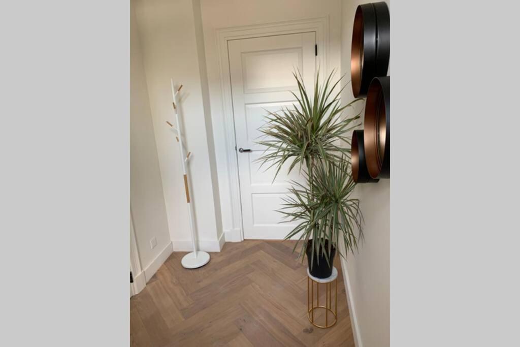 Charming Private Guesthouse Air By The Beach Zandvoort Exteriör bild